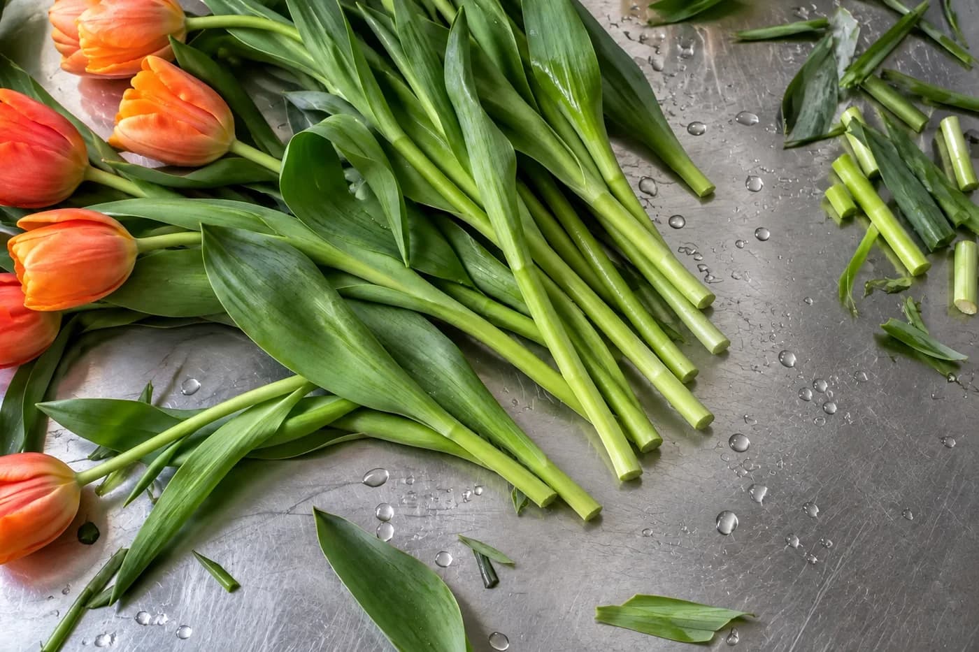 Oransje tulipaner med friske, rette snittflater på en våt arbeidsbenk